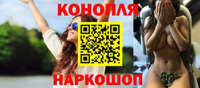 дмт Шахты