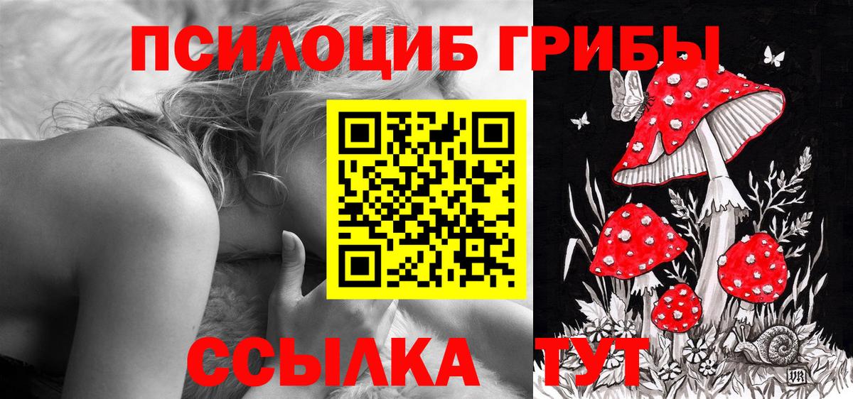 Галлюциногенные грибы Psilocybe  Вход с VPN  Псилоцибиновые грибы Psilocybine cubensis  Корсаков 