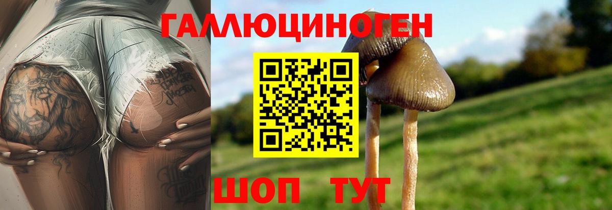 Галлюциногенные грибы мицелий Корсаков